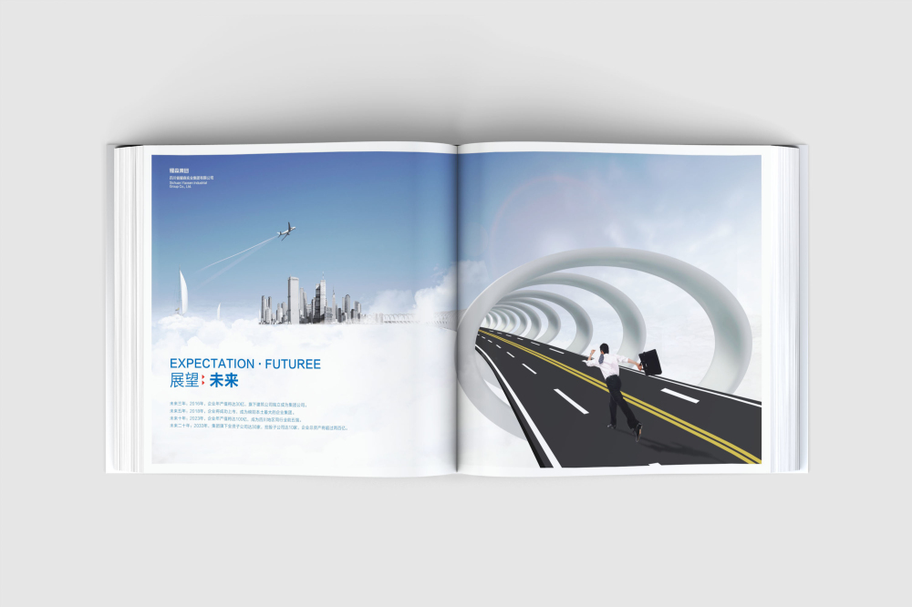 龙口市画册设计